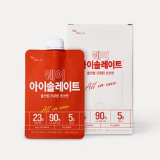 코코랩 WPI 웨이아이솔레이트 초코맛 30g, 10개