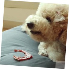 진정5호 터키츄20g 연어맛 강아지이갈이간식