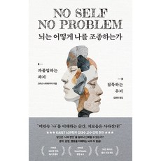 [베스트셀러] 뇌는 어떻게 나를 조종하는가 - 과몰입하는 좌뇌 침묵하는 우뇌 크리스 나이바우어, 클랩북스