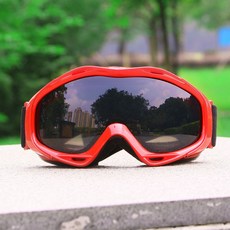 柱麵成人滑雪護目鏡，雙層防霧防風雪地眼鏡，臺灣出貨，滑雪裝備可開發票, 紅框（灰片）, 1個