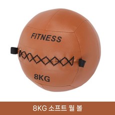 불가리안백 크로와상 전신 근력 크로스핏 가방 파워백, V. 벽 공 각 8KG, 1개