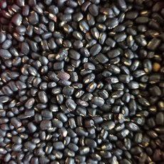 전남 곡성 산지직송 국산 야생팥 똘팥 국내산, 1박스, 2kg