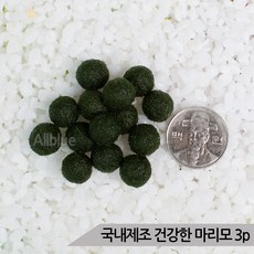 국내제조 건강한 마리모 3개 수경식물 애완식물, ETC