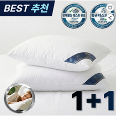 RAOM 5성급 호텔 베개 프리미엄 숙면베개, 화이트, 2개