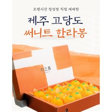제주 써니트 한라봉 선물용 가정용 3키로 5키로 제주차오름, 1박스, 선물용 3키로