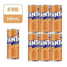 환타 오렌지 250ml, 6개