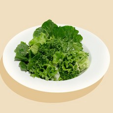 GAP인증 유러피안 샐러드 4종 모둠 500g, 없음