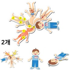 인체구조 카드 만들기 창작용 우리몸 구조 해부모형 뼈 근육 장기 순환 원리학습 (2인용)