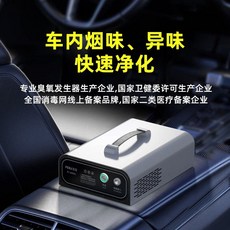휴대용 오존살균기 발생기 가정용 냄새제거 공기 공기청정기, C. 차량 전용 음이온