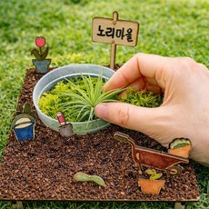 이오난사 모스 연못 풍경 테라리움 DIY키트 자연학습 식물재배 씨앗 모종 유치원