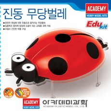 진동 무당벌레 18110, 1개