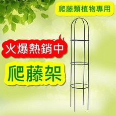 直立花架 立體瓜架 爬藤網 - 盆栽瓜果蔬菜適用 柱形穩固支撐 網架通風, 1個