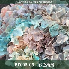安娜繡球乾燥花盒裝，紫陽花花材，台灣現貨供應，DIY花藝創作首選, 05彩色(漸層), 1個