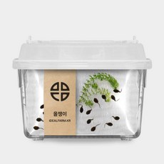 토종 올챙이 개구리 한살이 관찰 수업용 관찰키트 교과서준비물 자연공부 어린이, 단품