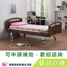 立新 兩馬達電動病床 護理床 復健床