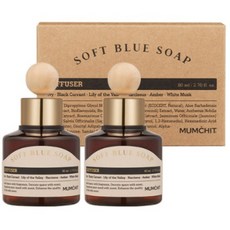 멈칫 바이오톡스 차량용 디퓨저 80ml x 2p, Soft Blue Soap (소프트블루솝), 2개