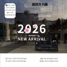 창문스티커 벚꽃나비 정전기 봄 시트지 대형 핑크, 정전기 11종