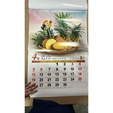 【TW】台灣製造水果月曆 2K13張，辦公室居家適用，記錄每日行程, 1個, 2026 月曆 2K13 水果B版