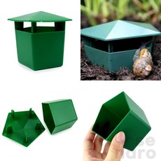 위아더 달팽이 집 사육 달팽이키우기