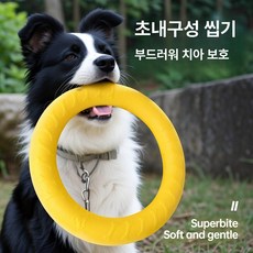 대형견 원형 발음 장난감 내구성 강아지 터그놀이 치아갈이 펫 완구, 1개, 소형+대형 세트
