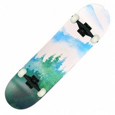 스케이트보드 입문용 성인 댄싱 롱보드 크루저, 1개, 포레스트