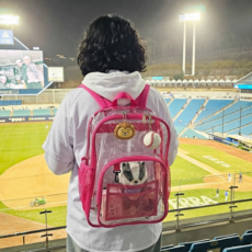 투명 야구 직관 가방 방수 백팩 pvc 야구가방 공연 관람 덕질 야구장 준비물 비치 짐가방, 핑크, 1개