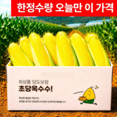 [마지막초특가] 당일수확 산지직송 고당도 초당옥수수, 1박스, 10개 (강추)