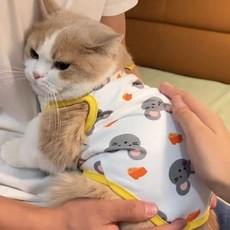 貓咪夏季防掉毛背心 英美短藍貓布偶貓小型犬泰迪狗狗, 1個, CC87黃色,M（建議4-6斤）