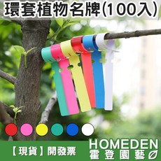 HOMEDEN 霍登園藝 環套植物名牌, 【環套名牌】綠色(100入)