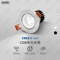 RICHIR LIGHTING LED 崁燈 嵌孔70mm 聚光崁燈 8W-12W, 1個, 白殼  8W,4000K 自然光