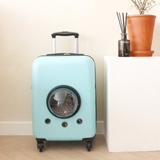 캔위스 애견캐리어 반려동물 이동장 기내용 하드캐리어, 민트, 1개