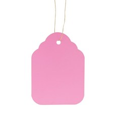 100개입 6가지 색상 5가지 플라스틱 걸이식 정원 태그 화분 허브용 방수 식물 라벨 마커, 01 100 PCS, 03 5x3.5cm, [03] 5x3.5cm