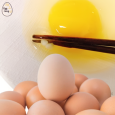 에그랑 동물복지유정란, 1개, 30구