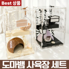 영리프 도마뱀 사육장 세트, 1세트, 크림