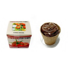 코리아 하우스 방울 토마토 키우기세트 과학 관찰 실험 키트
