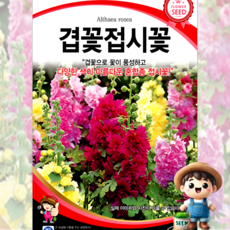 겹꽃접시꽃 30립 원예 관상 조경 화단 용 꽃 씨 씨앗 종자 세계종묘, 1개