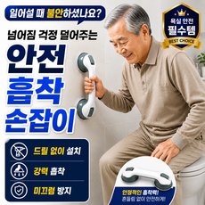 STAY 화장실 안전손잡이 욕실 흡착손잡이 노인 어린이 미끄럼방지, 그레이, 1개 그레이, 1개