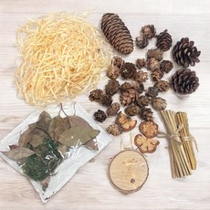 531禮物網 森林裝飾材料包 聖誕花圈裝飾 乾花果實拍照背景布置, 森林裝飾材料包(袋裝), 1個