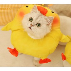 PCTN 냥댕이 펫 넥 카라 고양이 목 보호대 넥카라m 애견 깔때기 목 카라 Pet Neck Collar, PCTN 병아리, 1개