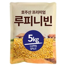 The큰나무 프리미엄 루피니빈 콩 호주산 루핀콩, 5kg, 1개