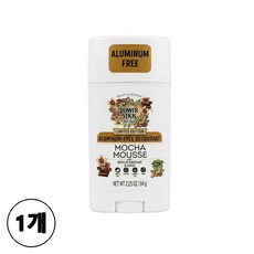 미국 휴대용 데오도란트 여성용 파워스틱 모카 무스, 1개, 64ml