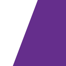 모두의브랜드 실버리스트 220g 프리미엄 3K 리얼카본 지팡이 노인 어르신 의료용 접이식 네발 할머니지팡이, 카본블랙, 1개