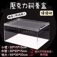 慢慢爬 壓克力磁吸式飼養箱, 1個, 小號：20*15*15超商一單最多2個