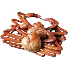 진심마루 달고 담백한 자숙 러시아 대게 1kg 3kg, 1개, 달고 담백한 자숙대게 (3kg A급 수율80%이상)