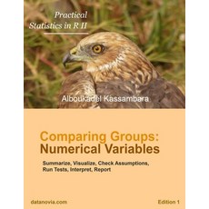 Practical Statistics in R for Comparing Groups: Numerical Variables Paperback, Independently Published
