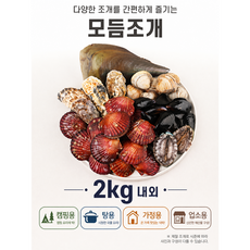 제철 모듬조개세트 (키조개 전복 조개류 홍합 뿔소라or개조개) 2kg내외/ 캠핑조개 조개탕 조개구이 세트, 1개