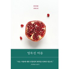 얼룩진 여름:전경린 장편소설, 얼룩진 여름, 전경린(저), 다산책방, 전경린 저