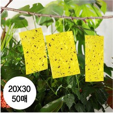 노란끈끈이트랩 양면 황색 종이트랩 15 X 25 50 매, 2030g, 1개