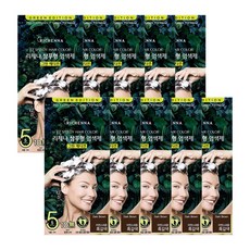 리체나 그린에디션 새치전용 샴푸형 염색제, 자연스러운 흑갈색, 10개