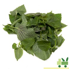 사라상회 깨순 (어린깻잎 깻순) 500g, 1개